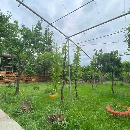 קוטאיסי Hostel Forrest מראה חיצוני תמונה