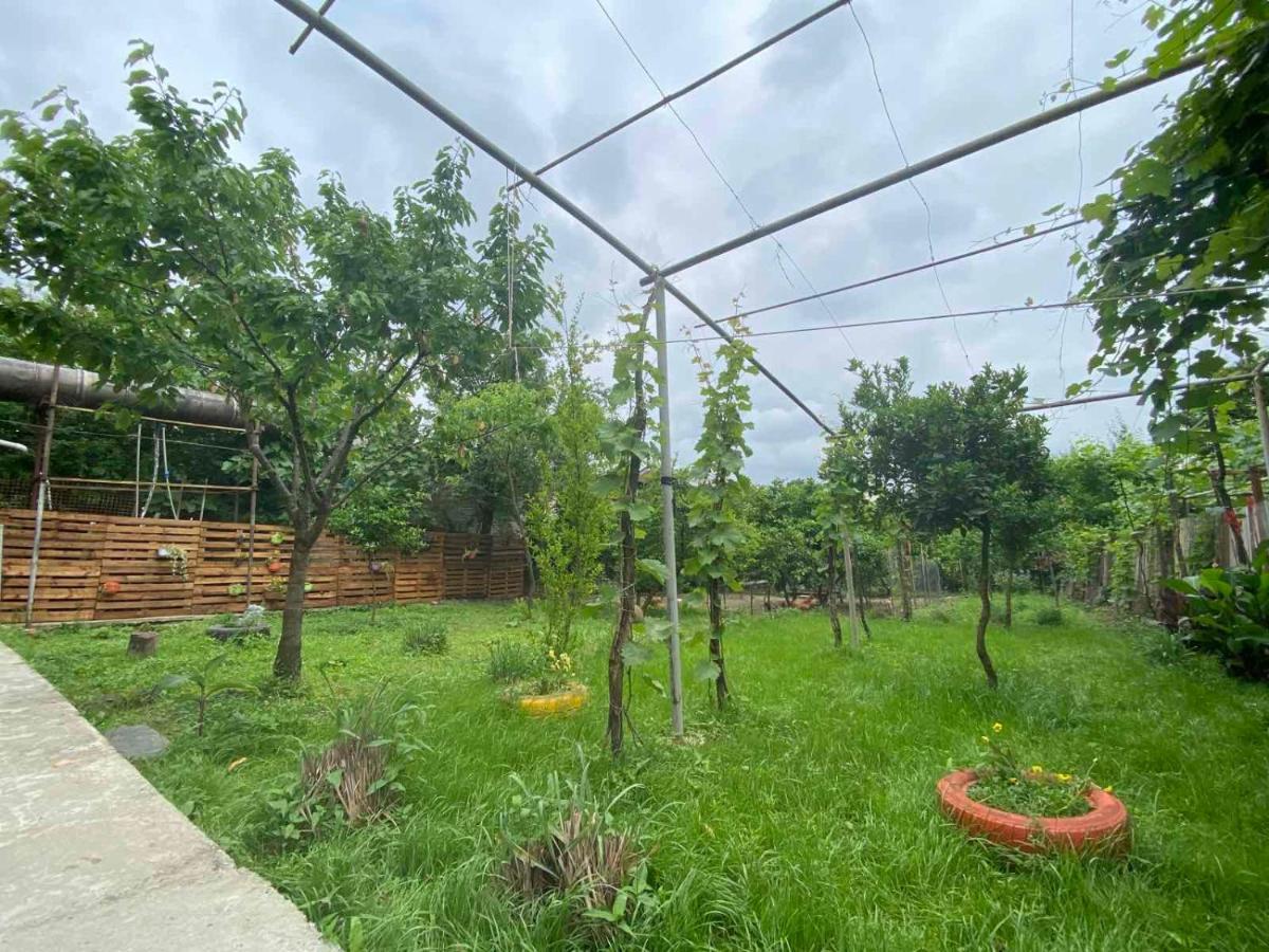 קוטאיסי Hostel Forrest מראה חיצוני תמונה