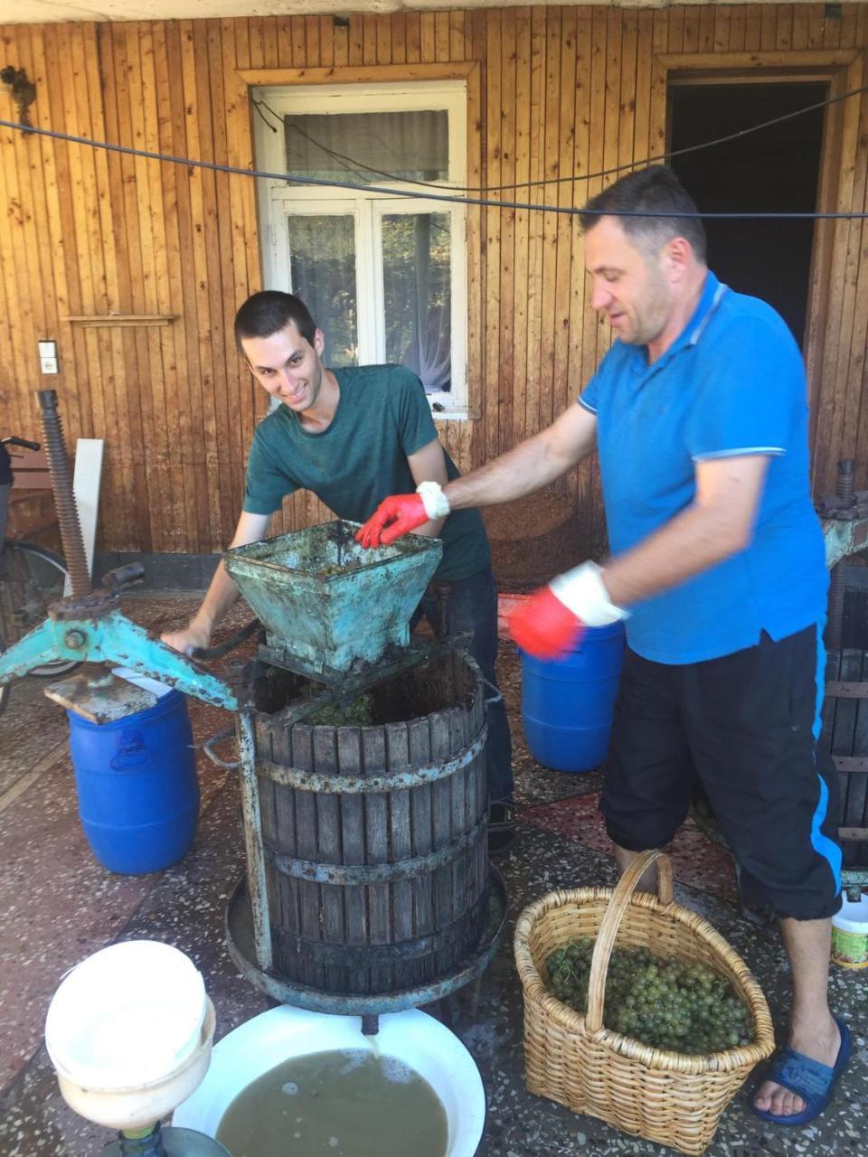 קוטאיסי Hostel Forrest מראה חיצוני תמונה